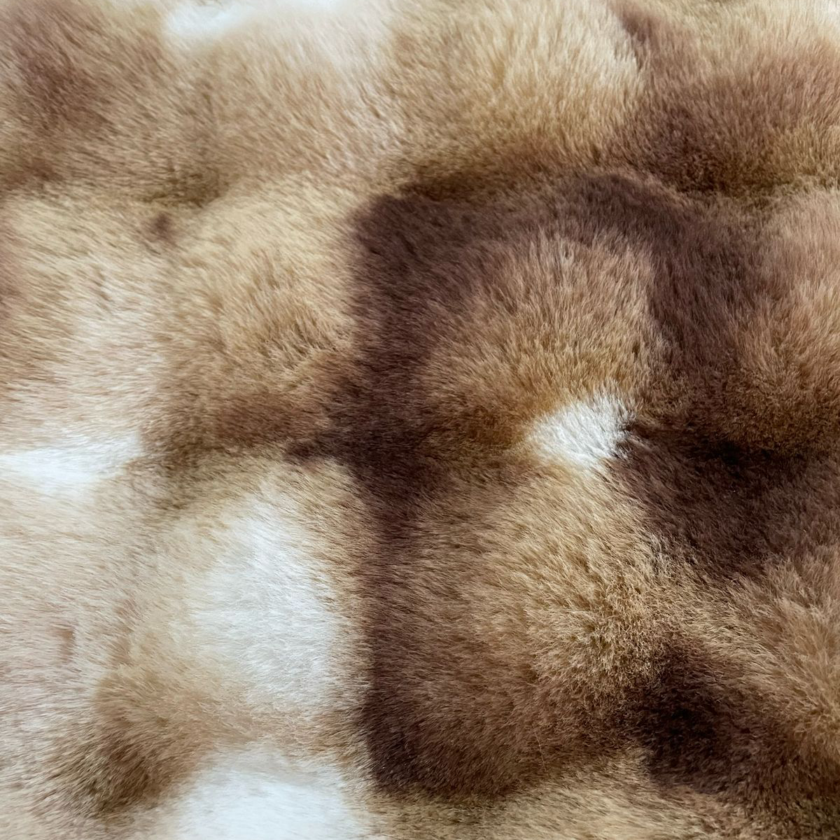 Rug - Multiple Sizes - DEL68