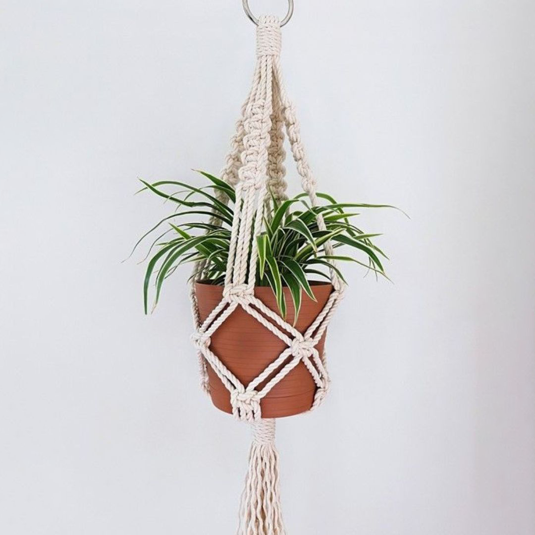 حامل زرع مكرمية