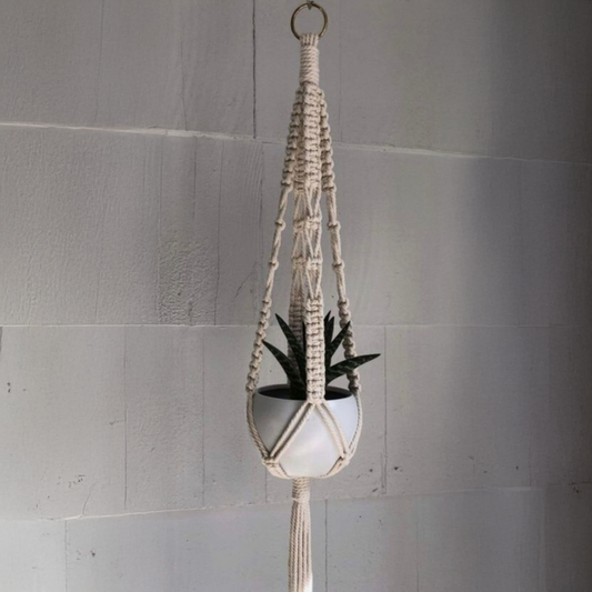 حامل نباتات