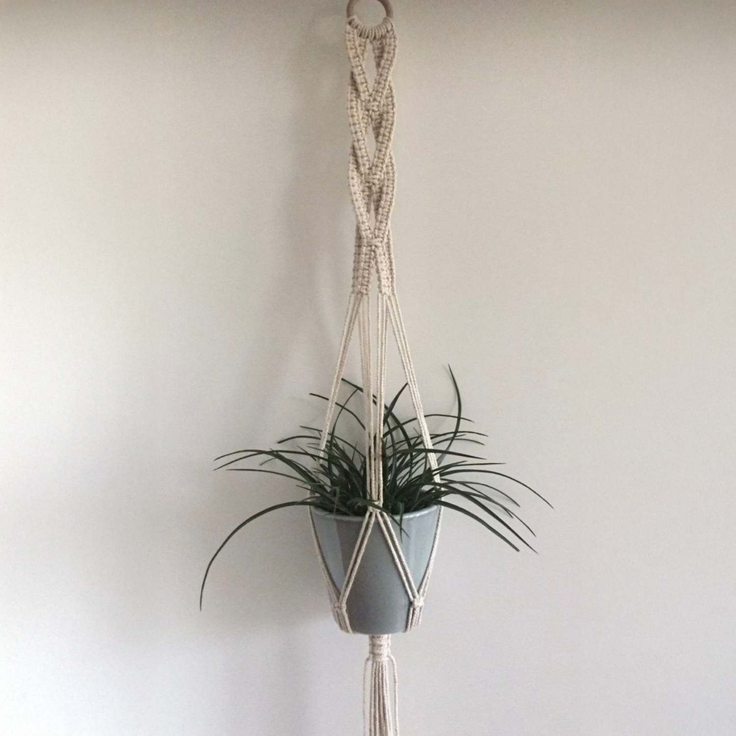 حامل نباتات