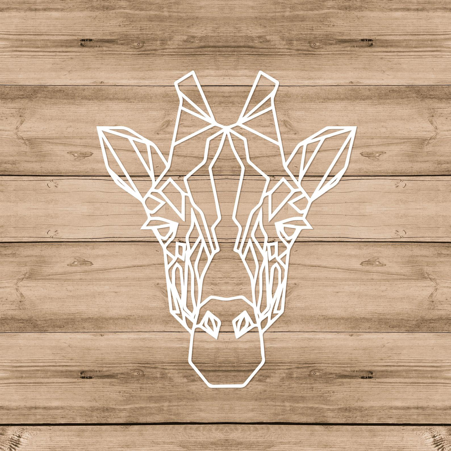 Wall Decor - Multiple Sizes - RNE120