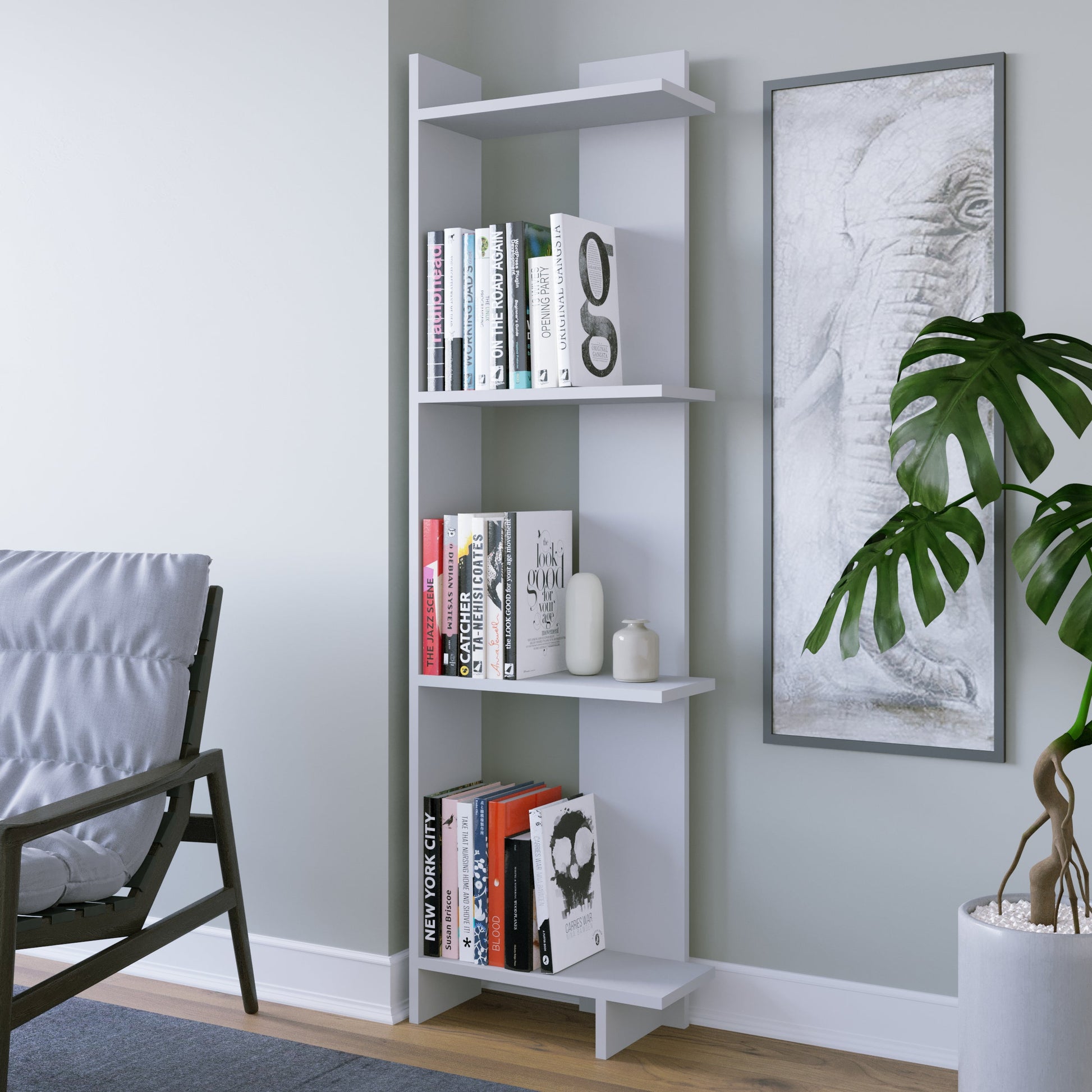 وحدة عرض أرفف