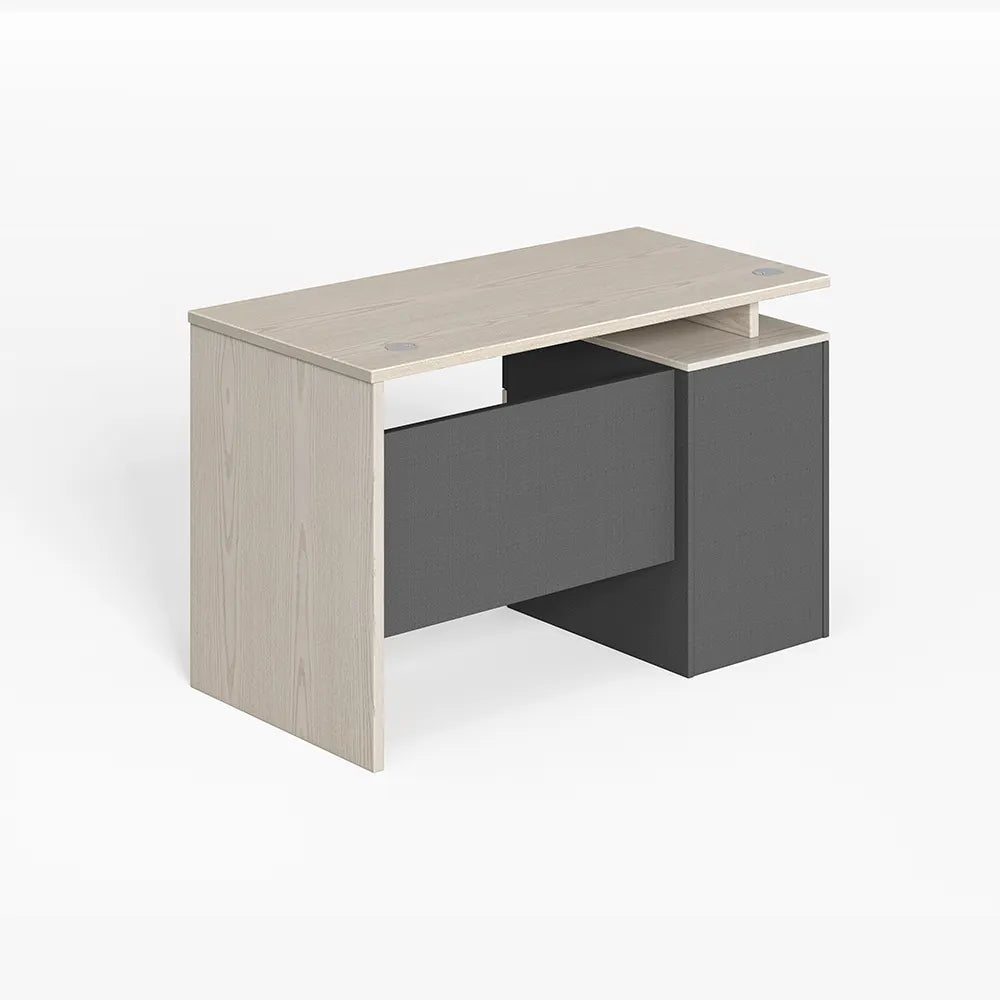 Desk 120x60cm - PIO377