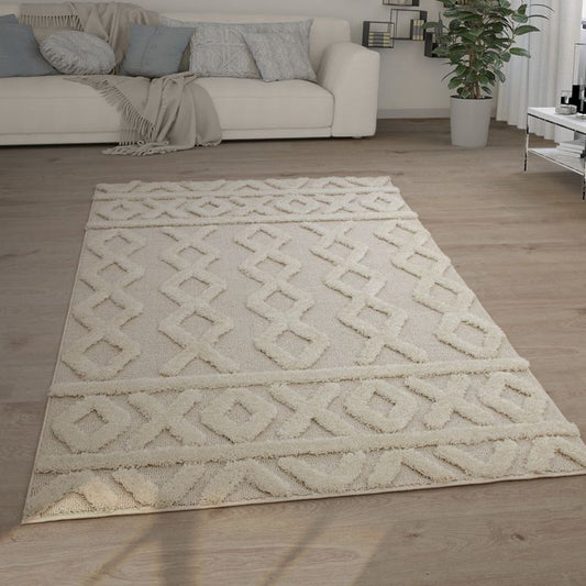 Handmade Rug - Various Sizes - TOO122