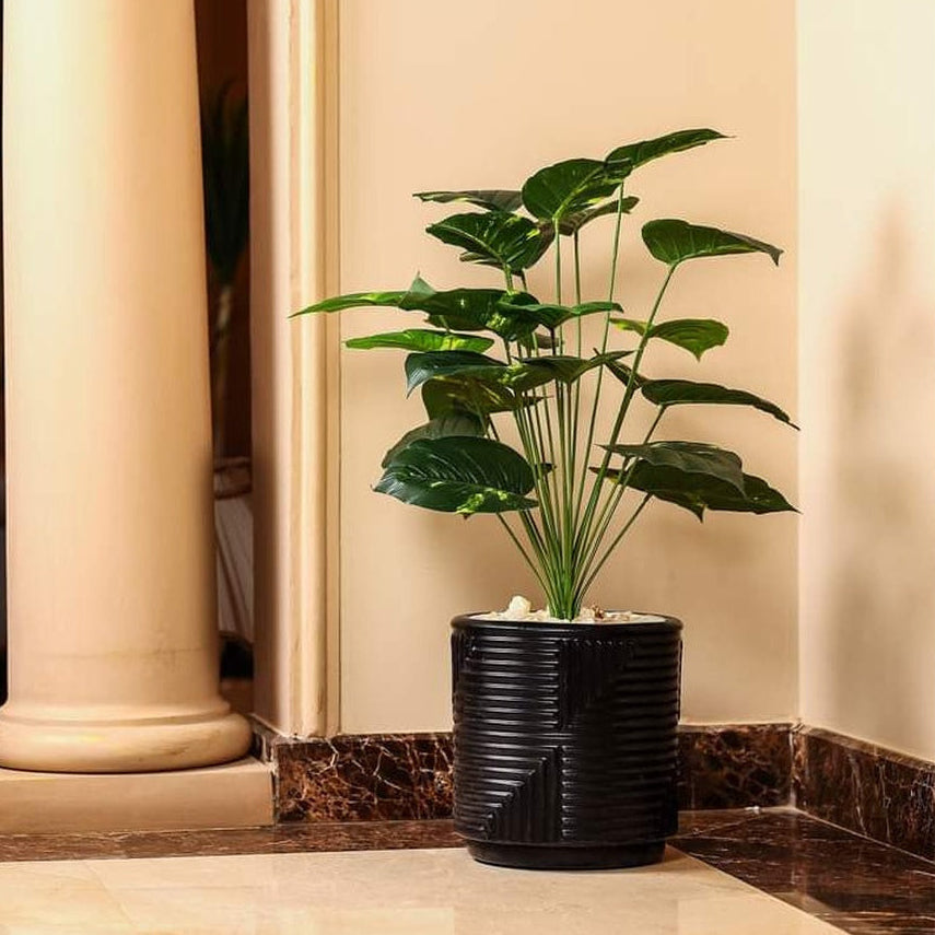 إناء زرع مع نباتات