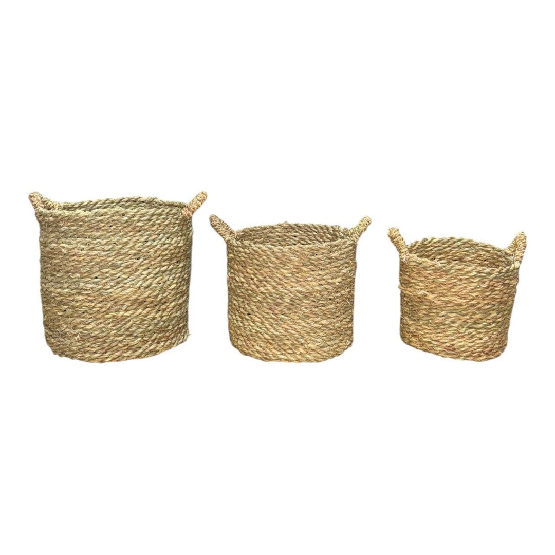 طقم إناء زرع