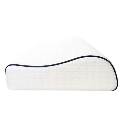 Pillow 60x40cm - AIN2