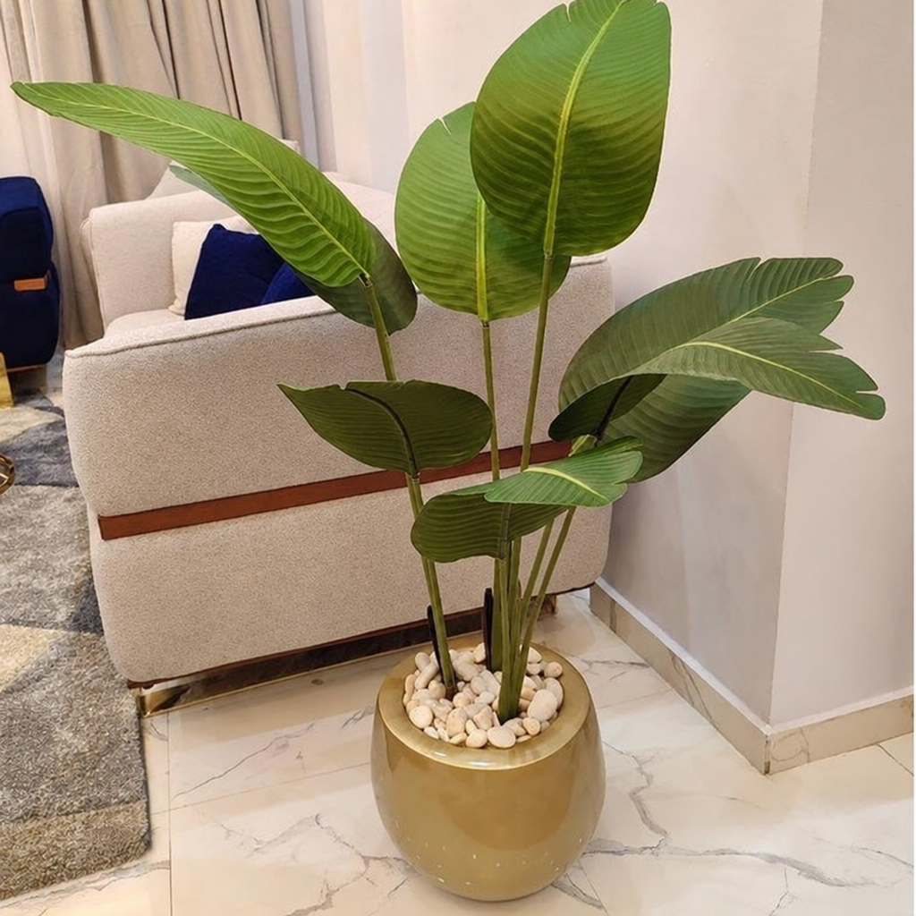 إناء زرع مع نباتات