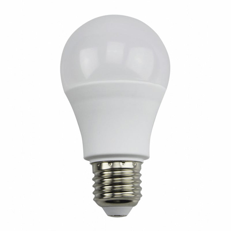 Decorative LED bulbs set - 50 pieces - SHLT381