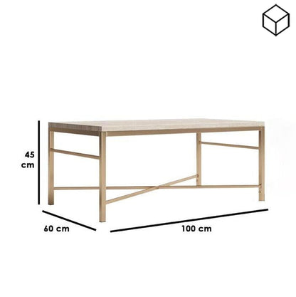 Coffee Table 60 x 100 cm - HIN1013